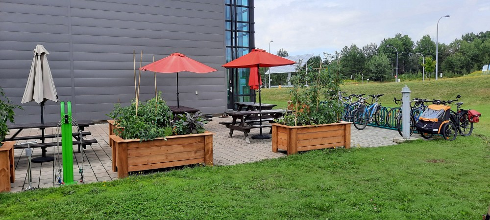 De nouveaux bacs de jardinage ont &eacute;t&eacute; install&eacute;s cet &eacute;t&eacute; sur le terrain du 3IT.