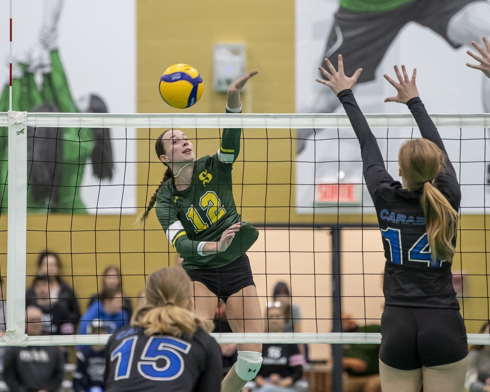 Photo : Yves Longpr&eacute; / Vert & Or