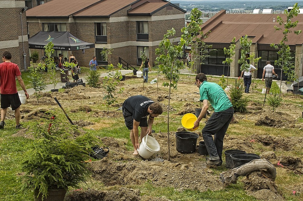 Plusieurs &eacute;tudiantes et &eacute;tudiants ont particip&eacute; &agrave; la plantation le 26&nbsp;juillet.