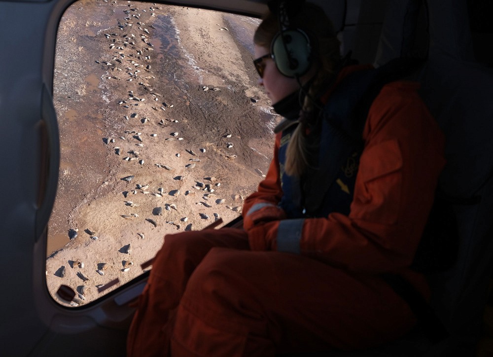 L'image gagnante de Th&eacute;o Garnier au concours La preuve par l'image de l'ACFAS, intitul&eacute;e Fen&ecirc;tre sur le Saint-Laurent en mutation
