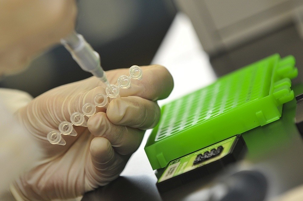 Le SARIC verra au bon fonctionnement d'un r&eacute;seau institutionnel complet de soutien aux activit&eacute;s de recherche, d'innovation et de cr&eacute;ation.