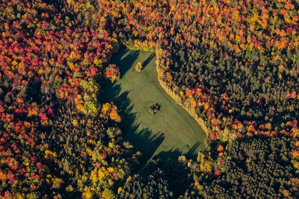 Dans l'investissement &agrave; long terme, le d&eacute;veloppement durable est un facteur cl&eacute;.