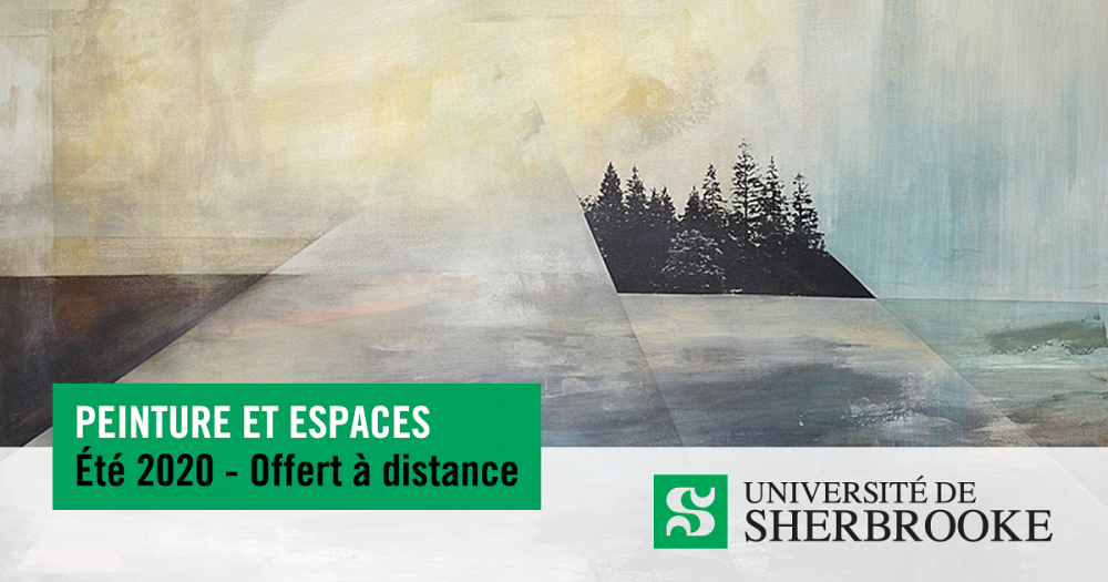 D&eacute;rive des continents, 121,92 x 152,4 cm, acrylique et s&eacute;rigraphie sur toile, 2019.