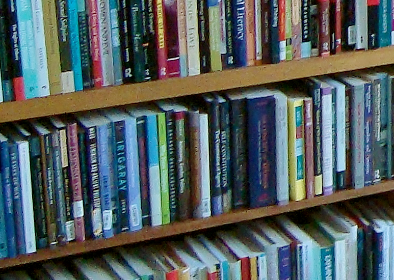 Une partie de la collection Philosophie et f&eacute;minisme.