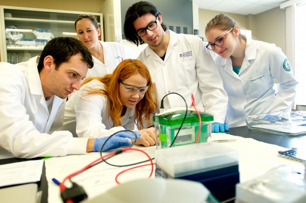 M&eacute;lanie Plourde (au centre) et son &eacute;quipe de recherche s'int&eacute;ressent aux suppl&eacute;ments riches en om&eacute;ga-3 et leur effet potentiel sur la m&eacute;moire.