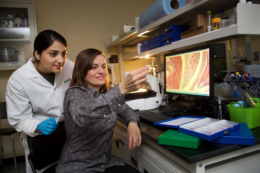Eve Langelier est professeure au D&eacute;partement de g&eacute;nie m&eacute;canique et titulaire de la Chaire pour les femmes en sciences et en g&eacute;nie au Qu&eacute;bec