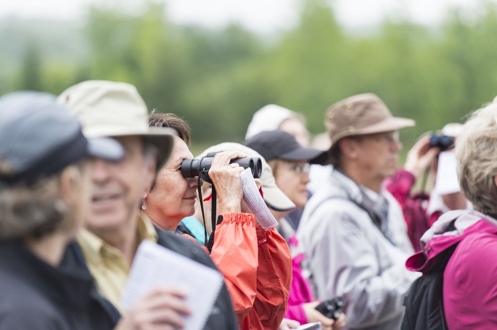 Demeurer actif physiquement, mais aussi socialement, est l'une des cl&eacute;s d'un vieillissement c&eacute;r&eacute;bral r&eacute;ussi.