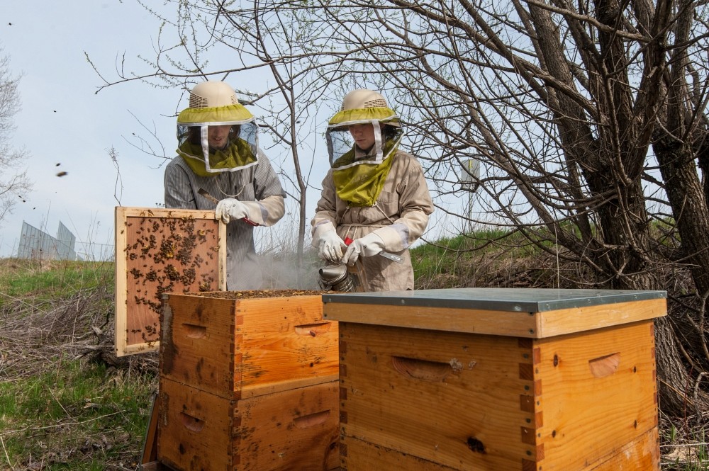 Steven Larivi&egrave;re-Beaudoin et Rosalie Hudon-Voyer. Cliquez sur la photo pour visionner une photo sph&eacute;rique sur 360 degr&eacute;s (lien externe)