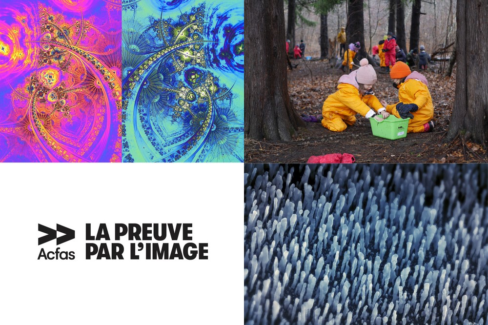 Trois images de l'UdeS sont finalistes au concours La preuve par l'image cette ann&eacute;e. N'oubliez pas de vous prononcer sur votre coup de c&oelig;ur!