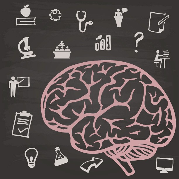 Le travail acharn&eacute; modifie le cerveau et une &eacute;tude r&eacute;cente par une &eacute;quipe de l&rsquo;Universit&eacute; de Sherbrooke le d&eacute;montre.