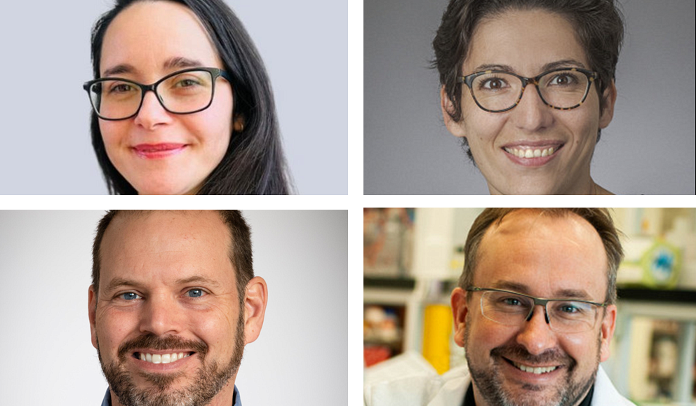 Les chercheuses-boursi&egrave;res et chercheurs-boursiers de l'IRCUS (de gauche &agrave; droite) : Pre Oraly Sanchez Ferras (junior 1), Pre Marie Brunet (junior 2), Pr Alexandre Mar&eacute;chal (s&eacute;nior) et Pr Fran&ccedil;ois-Michel Boisvert (m&eacute;rite)