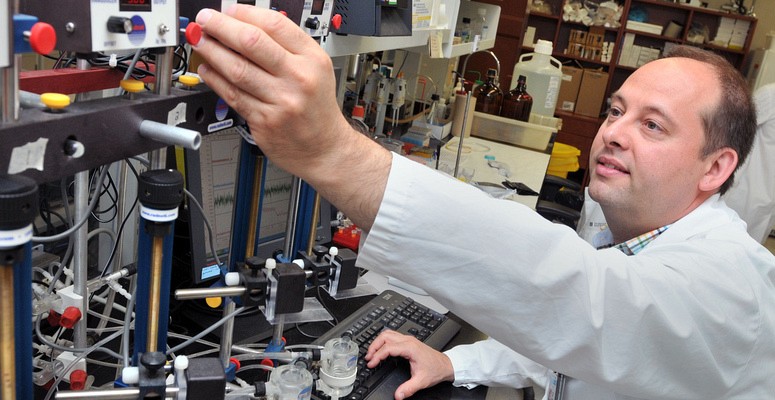 Professeur Philippe Sarret, directeur de l'IPS