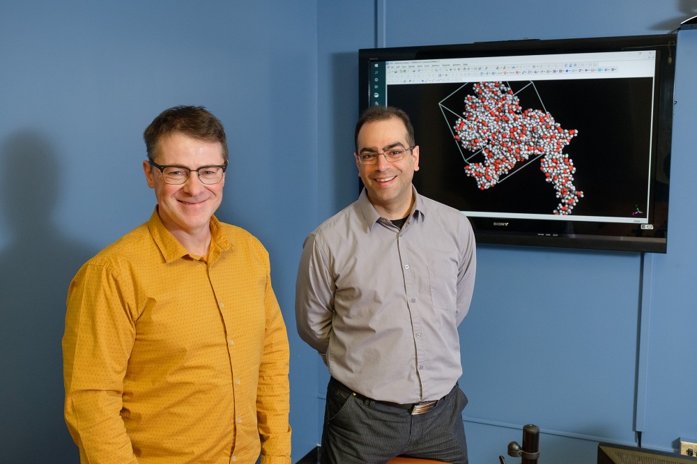 Les professeurs Armand Soldera et Nadi Braidy