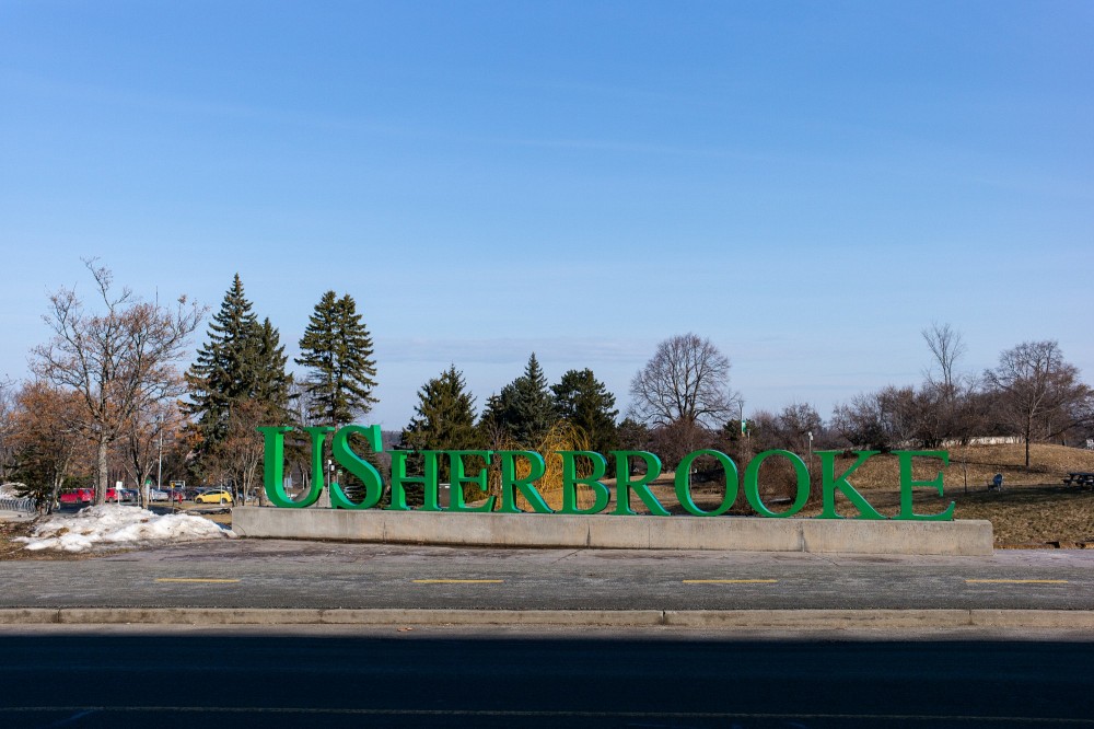 L'expertise de l'Universit&eacute; de Sherbrooke s'est d&eacute;velopp&eacute;e gr&acirc;ce au talent de ses professeures et professeurs qui parviennent &agrave; changer le cours de l'histoire dans leur domaine de sp&eacute;cialit&eacute;.