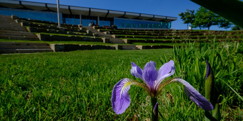 Agora du Campus principal 