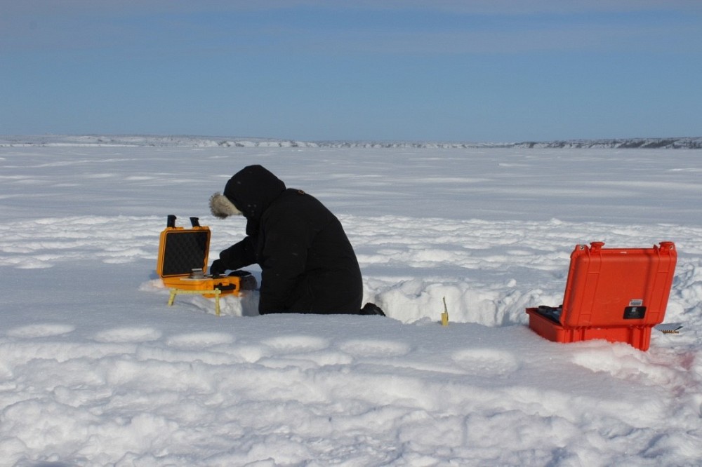 Alain Royer examinant les grains de neige de la toundra au nord d&rsquo;Inuvik, TNO (69&deg;N)