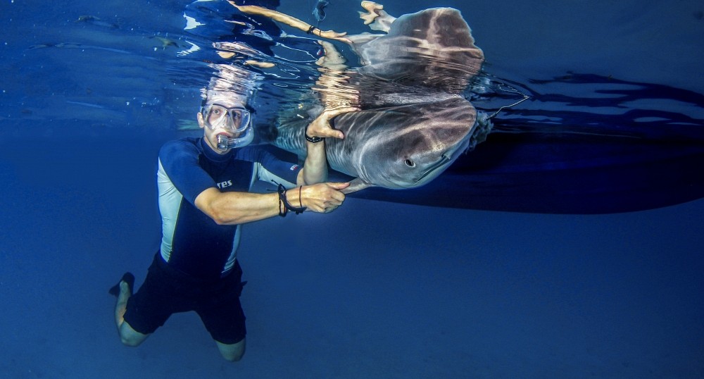 Xavier a toujours r&ecirc;v&eacute; de faire carri&egrave;re dans le milieu de la faune aquatique. Il a pu confirmer son choix en effectuant plusieurs stages durant son parcours universitaire.