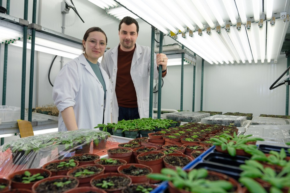 Les deux personnes &eacute;tudiantes au&nbsp;c&oelig;ur de cette d&eacute;couverte : Ga&euml;le Lajeunesse et Charles Roussin-L&eacute;veill&eacute;e. ​Photo : Michel Caron - UdeS
