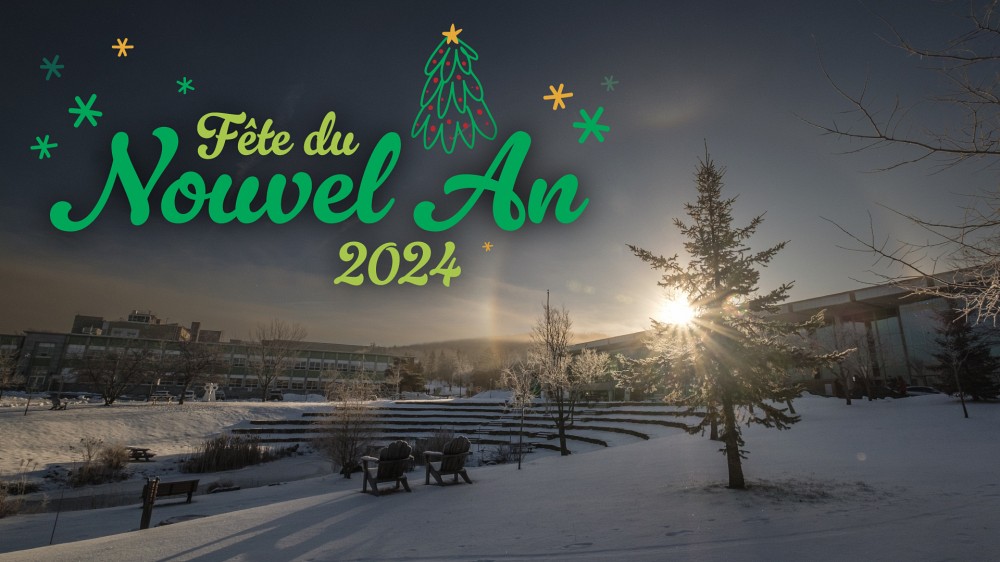 Bienvenue &agrave; la f&ecirc;te du Nouvel An 2024!