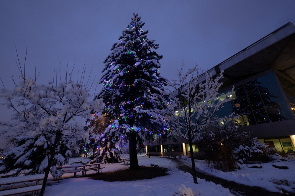 La magie des F&ecirc;tes enveloppe le Campus principal de l'UdeS, illumin&eacute; par un grand sapin.
