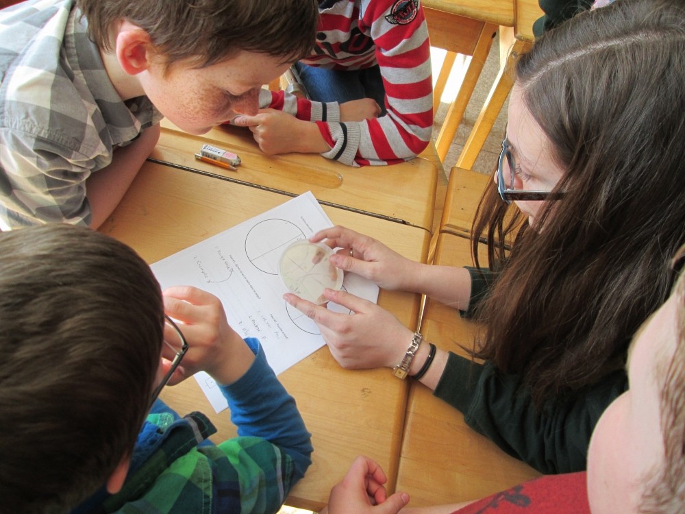 Des &eacute;tudiants du baccalaur&eacute;at en biochimie de la sant&eacute; ont explor&eacute; le&nbsp;monde des micro-organismes avec des enfants du primaire