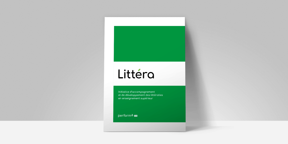 Plan d'action remis au minist&egrave;re de l'Enseignement sup&eacute;rieur