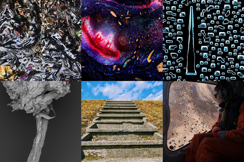 Six images de l'UdeS sont finalistes au concours&nbsp;La preuve par l'image&nbsp;cette ann&eacute;e. N'oubliez pas de voter pour votre image pr&eacute;f&eacute;r&eacute;e!