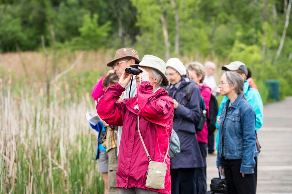 Activit&eacute; d'ornithologie organis&eacute;e par l'UTA.