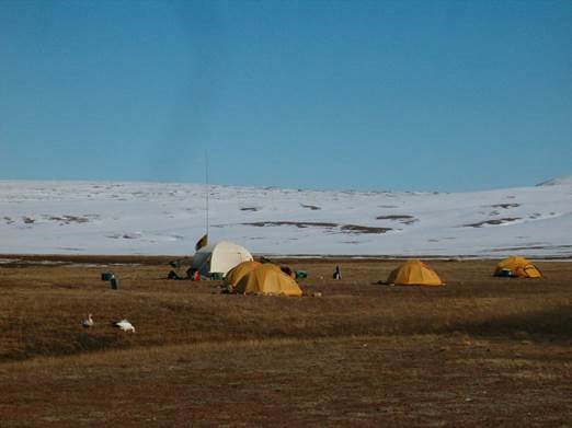 Campement temporaire &agrave; South Sawtooth Lake, &Icirc;le d&rsquo;Ellesmere, Nunavut, mai-juin 2008. On y &eacute;tudie l&rsquo;hydrologie et la s&eacute;dimentologie dans le lac lors de la fonte de la neige et du d&eacute;gel de la &laquo;&nbsp;couche active&nbsp;&raquo; du perg&eacute;lisol, celle qui d&eacute;g&egrave;le &agrave; l&rsquo;&eacute;t&eacute;.