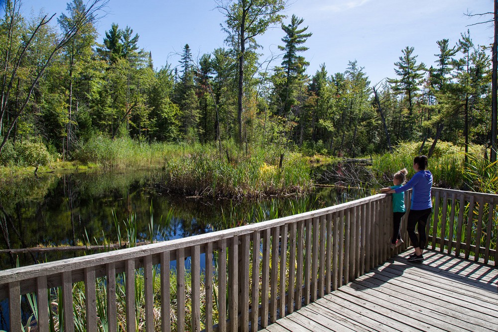 Observatoire de la biodiversit&eacute; en milieu humide au Parc r&eacute;gional des Gr&egrave;ves