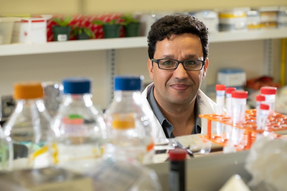 Pr Kamal Bouarab, titulaire de la Chaire CannaSher sur le cannabis m&eacute;dical