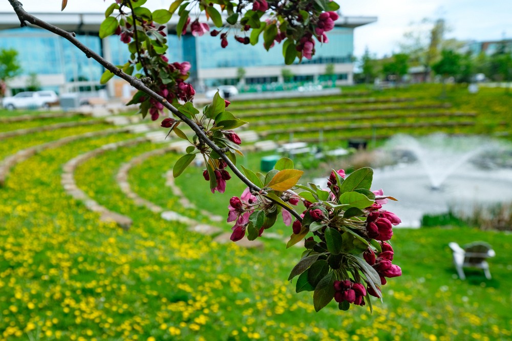 Le dernier bilan DD de l'UdeS t&eacute;moigne d'une int&eacute;gration r&eacute;ussie des principes de DD &agrave; l'&eacute;chelle de l'universit&eacute;.