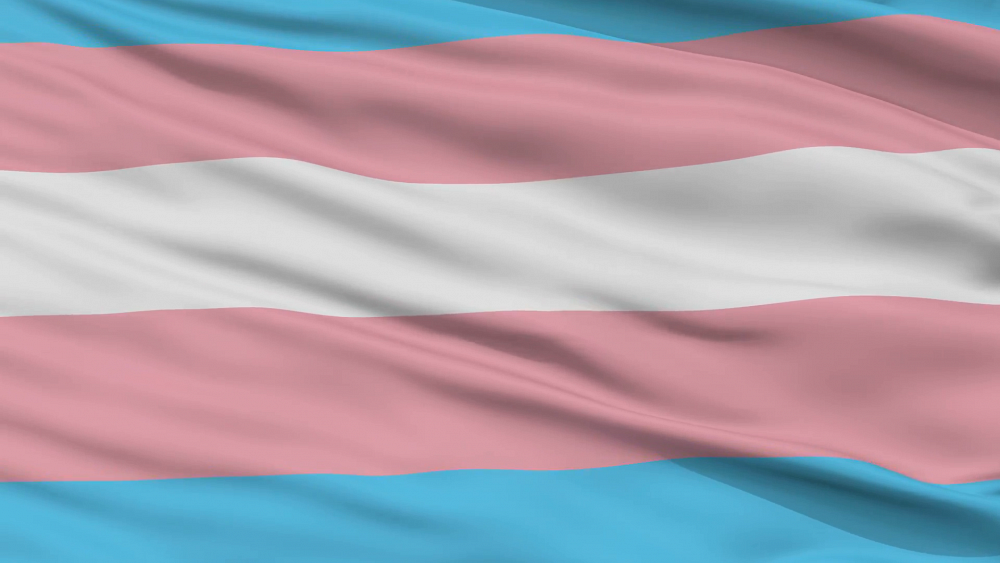 Le drapeau repr&eacute;sentant la communaut&eacute; trans se compose de cinq bandes horizontales.