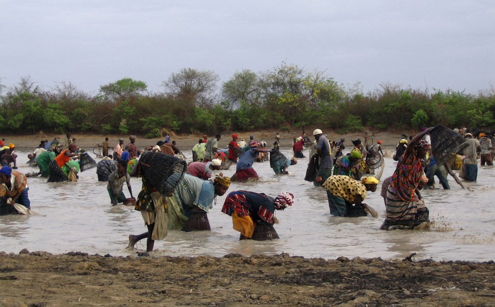 Les in&eacute;galit&eacute;s entre les pays et au sein m&ecirc;me de ces derniers repr&eacute;sentent un&nbsp;ph&eacute;nom&egrave;ne qui s&rsquo;est accru de mani&egrave;re exponentielle partout dans le monde, particuli&egrave;rement depuis les ann&eacute;es 1980.