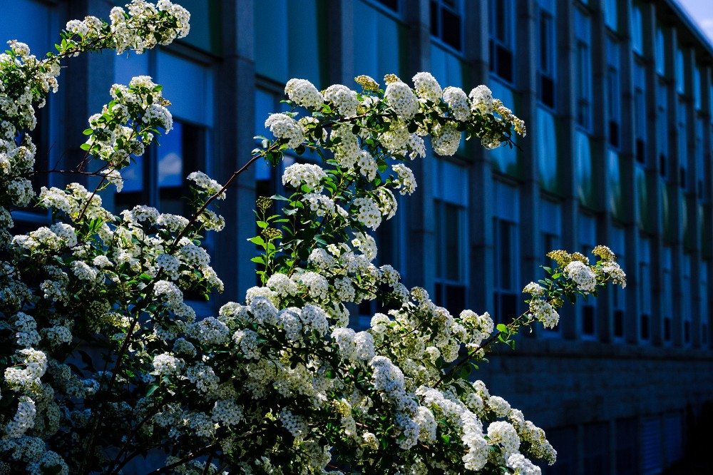 Qui dit stages d'&eacute;t&eacute; dit paysages d'&eacute;t&eacute;!