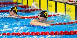 Retour du Championnat U Sports en natation