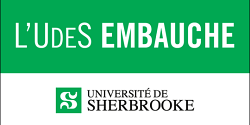 Professeure ou professeur en travail social