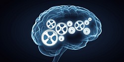 Améliorer ses stratégies d’apprentissage
