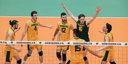 L'équipe masculine de volleyball du V&O se mérite les grands honneurs