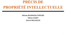 Précis de propriété intellectuelle