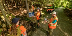 Les travaux de restauration dans la zone J.-S. Bourque sont en cours