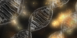 L’appropriation de connaissances scientifiques pour éclairer l’innovation dans les pratiques pédagogiques