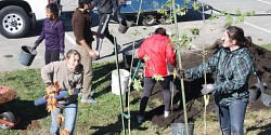 200 nouveaux arbres plantés sur le Campus principal