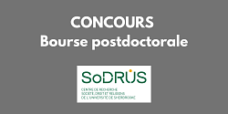 Concours : bourse de soutien à un stage postdoctoral