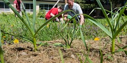 Un jardin ancestral sur le Campus principal