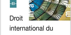Droit international du développement
