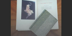 <em>Mémoires du livre / Studies in Book Culture</em>