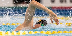 Championnat canadien U Sports de natation: Le Vert & Or livre la marchandise