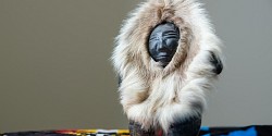 Des voix et des perspectives pour ouvrir le dialogue
