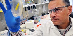 Bloquer le chemin au coronavirus dès son entrée dans l’organisme